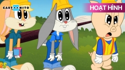 Đội Thợ Xây Của Thỏ Bugs