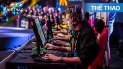 Câu Lạc Bộ Thể Thao: Tường Thuật Giải Thể Thao Điện Tử