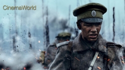 Cơn Bão Linh Hồn