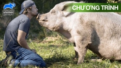 Nông Trại Cứu Hộ (Tập 11)