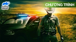 Luật Texas (Tập 18)