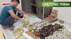 Hồ Sơ Vụ Án: 80kg Ma Túy Trắng Trên Cung Đường Lửa