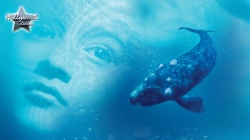 Người Cưỡi Cá Voi