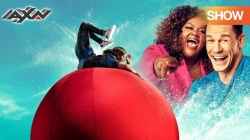 Cú Ngã (Phần 9 - Tập 16)