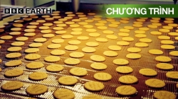 Nhà Máy Thực Phẩm (Tập 12)