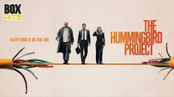 Dự Án Chim Ruồi