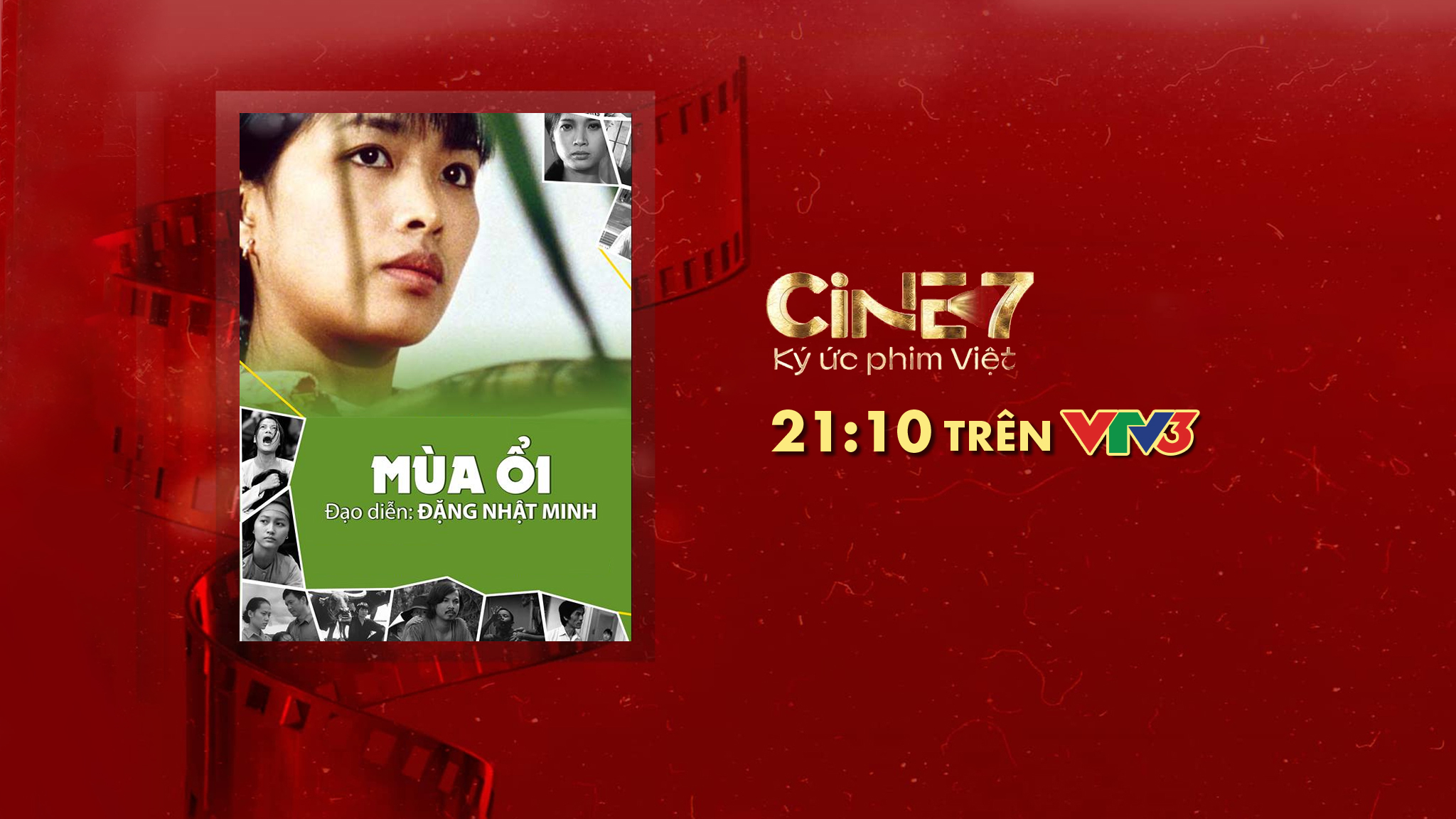 Cine 7 - Ký Ức Phim Việt: Phim Mùa Ổi