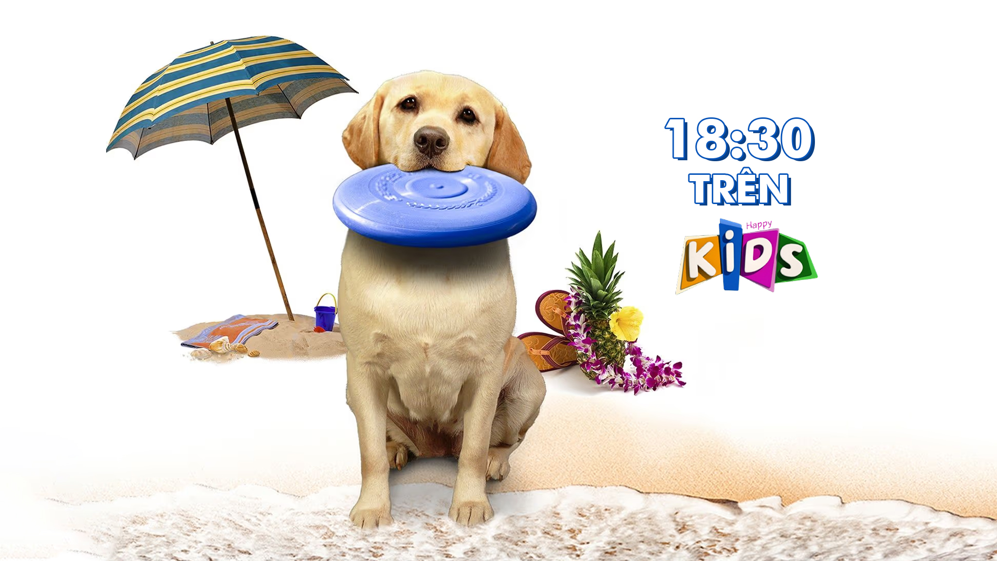 Chú Chó Giải Cứu Mùa Hè