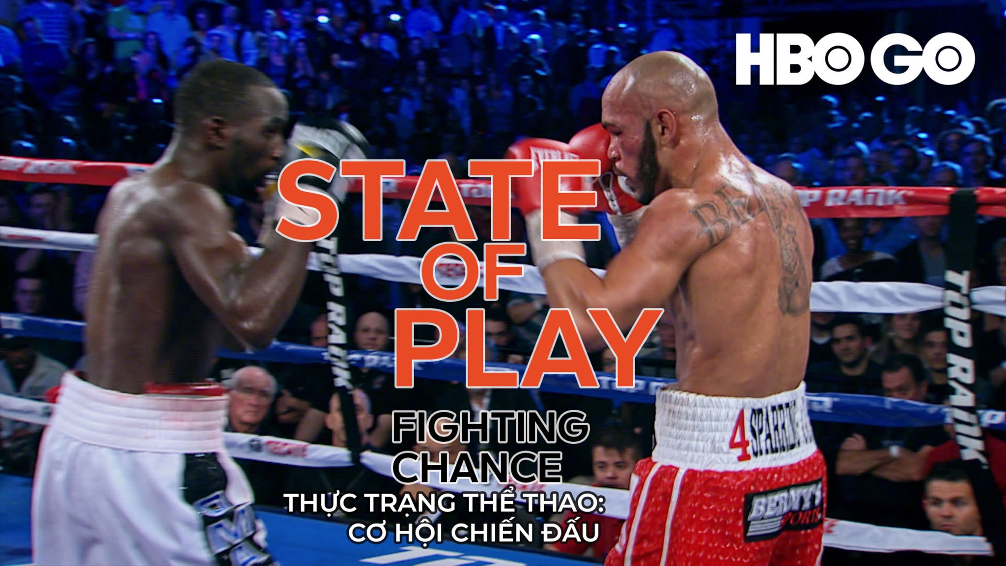 Thực Trạng Thể Thao: Cơ Hội Chiến Đấu