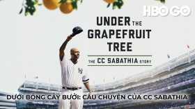 Dưới Bóng Cây Bưởi: Câu Chuyện Của Cc Sabathia