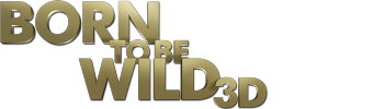 Born To Be Wild