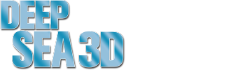 Deep Sea 3D