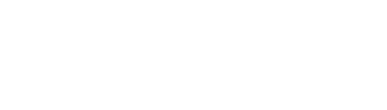 The Kung Fu Master