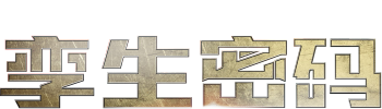 The Twins' Code