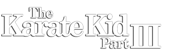 The Karate Kid: Part III