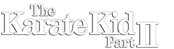 The Karate Kid: Part II