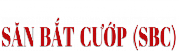 Săn Bắt Cướp