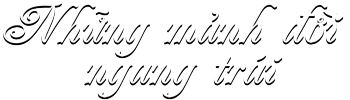 Những Mảnh Đời Ngang Trái