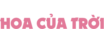Hoa Của Trời