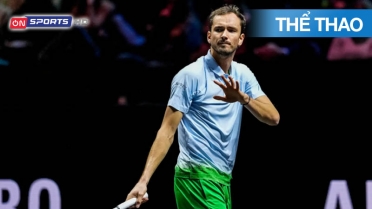 ATP Tour 500 Halle Open 2025 Trực Tiếp