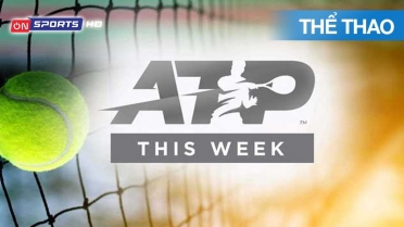 Tạp Chí Atp Tour This Week - Số 46-25