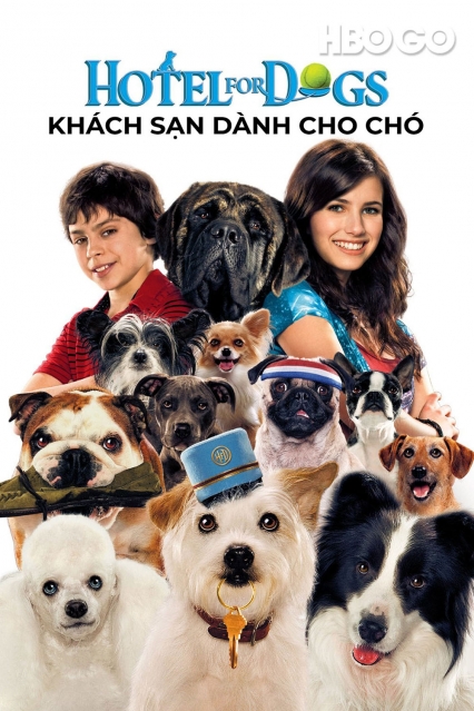 Khách Sạn Dành Cho Chó