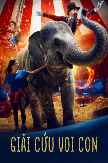 Giải Cứu Voi Con