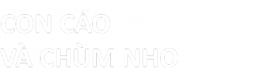 Con Cáo Và Chùm Nho