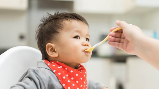 Ăn Dặm Cho Trẻ 6 - 12 Tháng