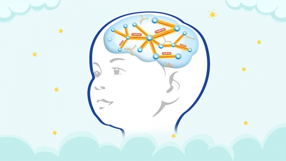 Kích Thích Phát Triển Não Bộ Và Thể Chất Cho Trẻ