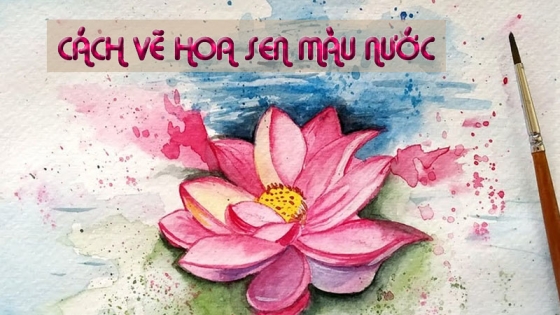 Cách Vẽ Hoa Sen Màu Nước