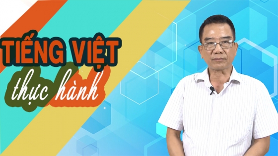 Tiếng Việt Thực Hành
