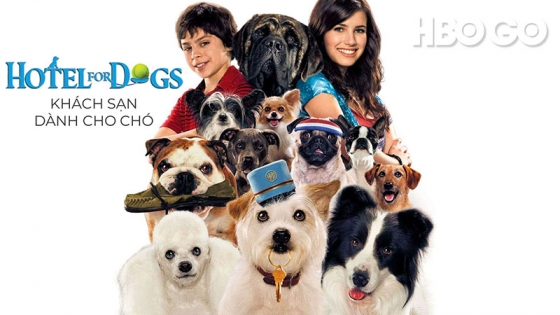 Khách Sạn Dành Cho Chó