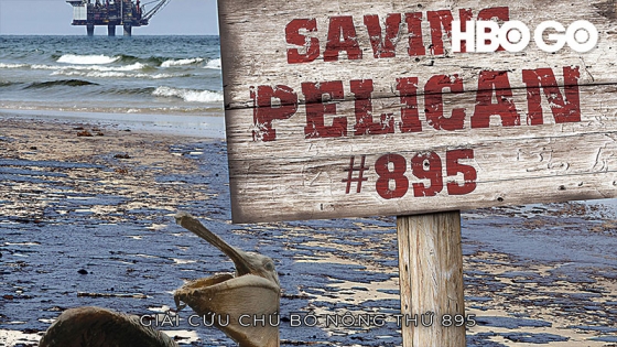 Giải Cứu Chú Bồ Nông Thứ 895