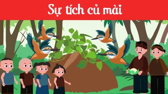 Sự Tích Củ Mài