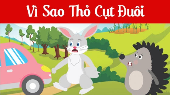 Vì Sao Thỏ Cụt Đuôi