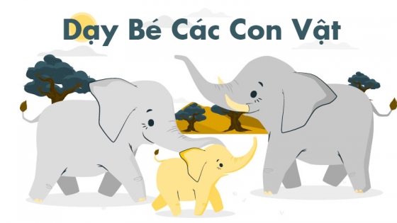 Dạy Bé Các Con Vật: Phần 1