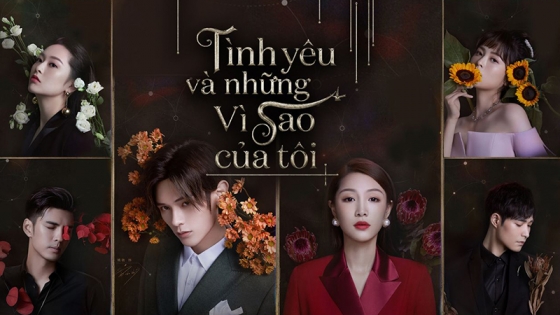 Tình Yêu Và Những Vì Sao Của Tôi