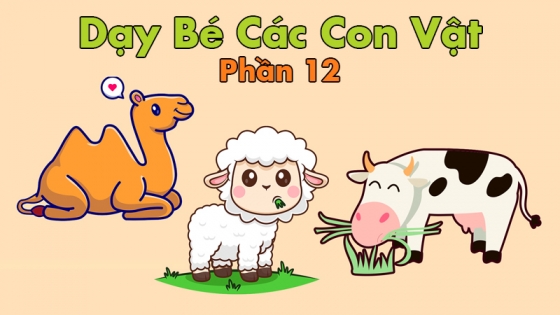 Dạy Bé Các Con Vật: Phần 12