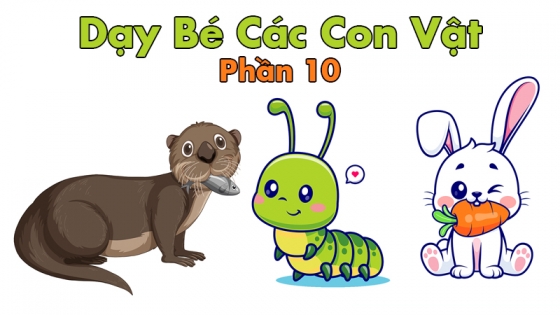 Dạy Bé Các Con Vật: Phần 10