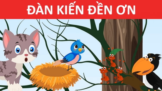 Đàn Kiến Đền Ơn