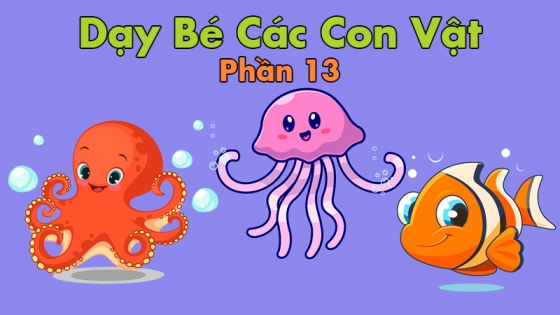 Dạy Bé Các Con Vật: Phần 13