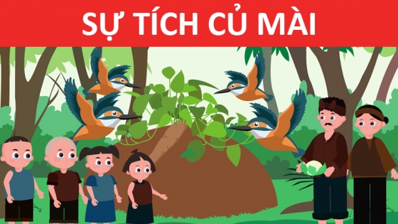 Sự Tích Củ Mài
