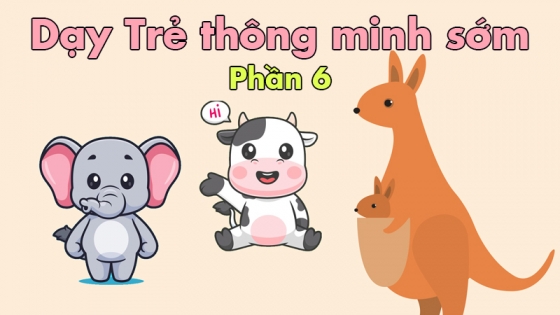 Dạy Trẻ Thông Minh Sớm: Phần 6