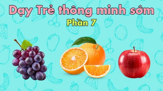 Dạy Trẻ Thông Minh Sớm: Phần 7