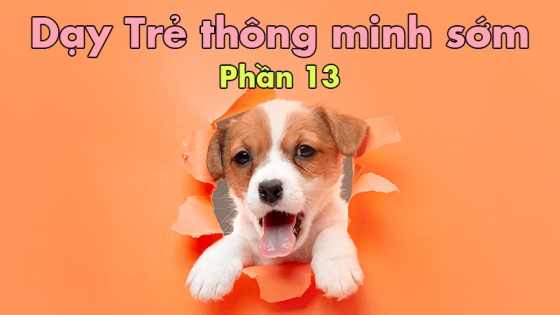 Dạy Trẻ Thông Minh Sớm: Phần 13