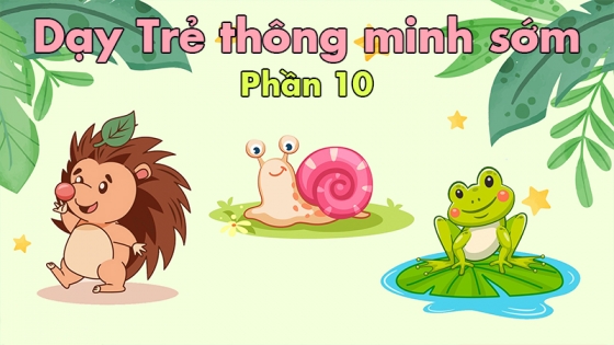 Dạy Trẻ Thông Minh Sớm: Phần 10
