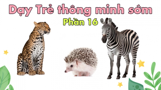 Dạy Trẻ Thông Minh Sớm: Phần 16
