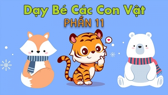 Dạy Trẻ Thông Minh Sớm: Phần 11