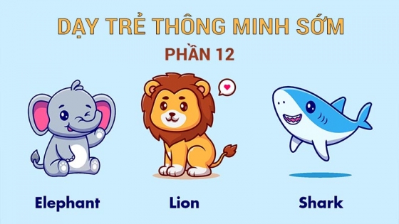 Dạy Trẻ Thông Minh Sớm: Phần 12